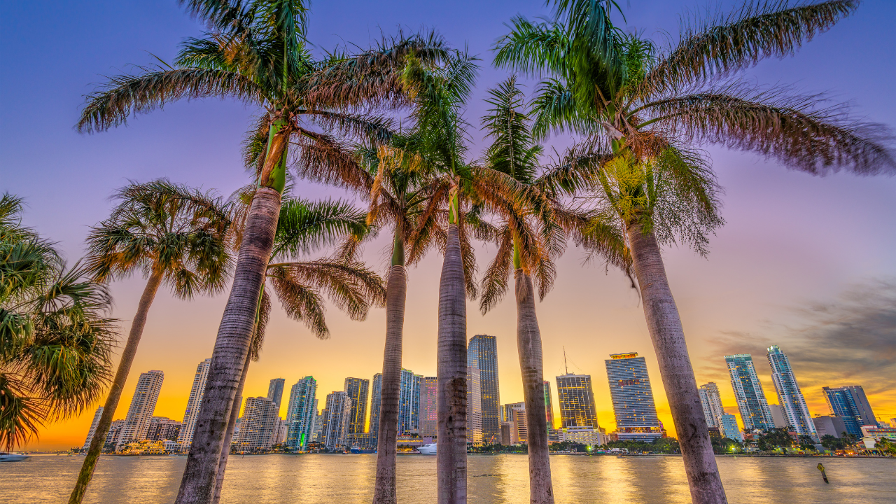 Florida Housing Market Trends & Future Outlook – 2025